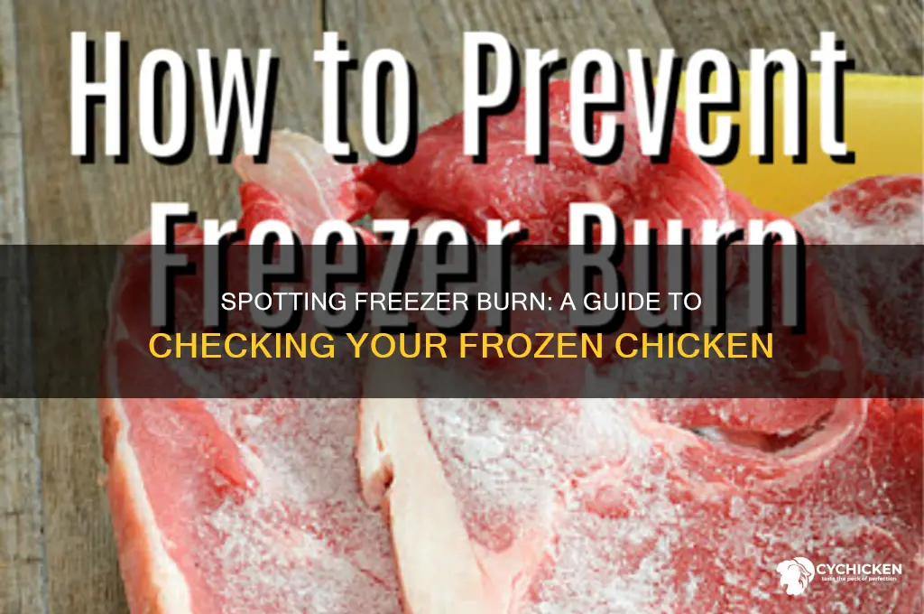 how to tell if chicken has freezer burn
