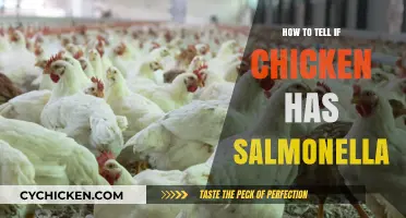 Identifying Salmonella in Chicken: Essential Tips for Safe Consumption