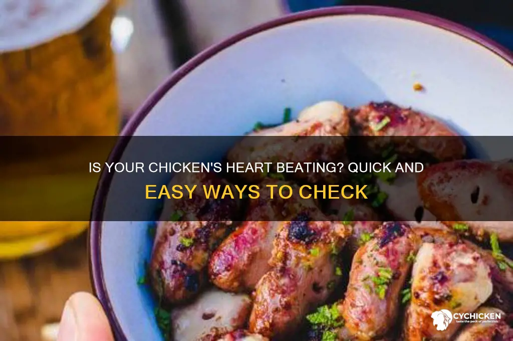 how to tell if chicken heart is beating