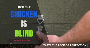 Identifying Blindness in Chickens: Key Signs and Care Tips
