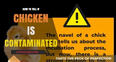 Spotting Contaminated Chicken: Essential Tips to Ensure Food Safety