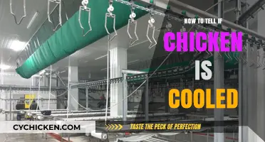 Is Your Chicken Safe to Eat? Cooling Tips and Tricks