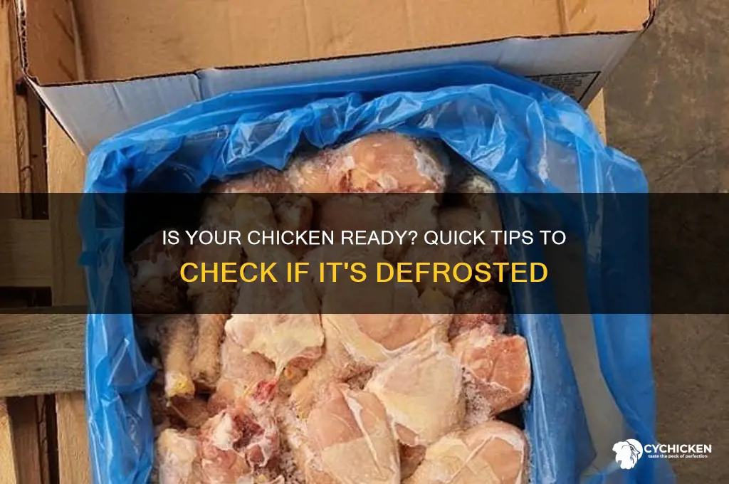 how to tell if chicken is defrosted