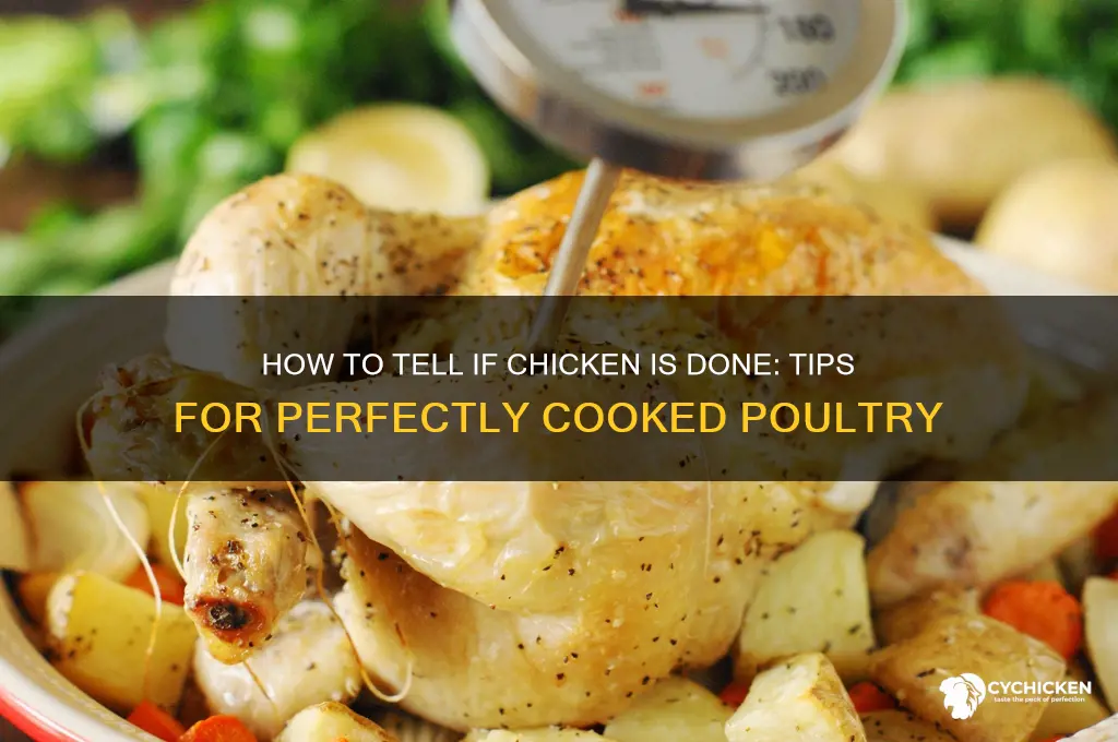 how to tell if chicken is dobe
