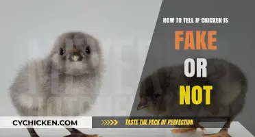 Identifying Fake Chicken: What You Need to Know