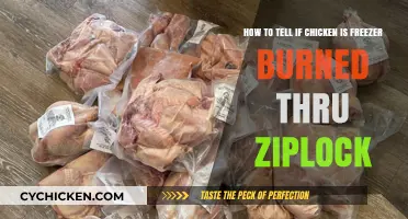Check for Freezer Burn: Chicken in Ziplock