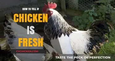Spotting Fresh Chicken: Essential Tips for Quality and Safety