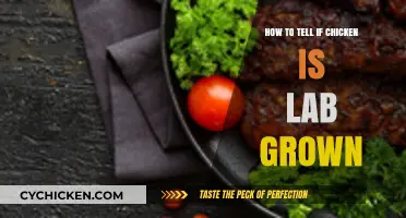 Identifying Lab-Grown Chicken: Key Differences and Telltale Signs
