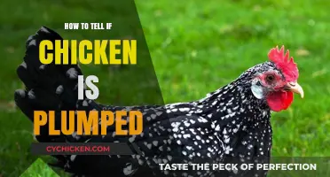 Identifying Plumped Chicken: A Guide to Spotting Enhanced Poultry