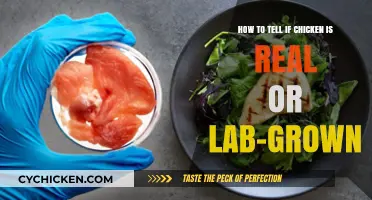 Unraveling the Mystery: Real or Lab-Grown Chicken?