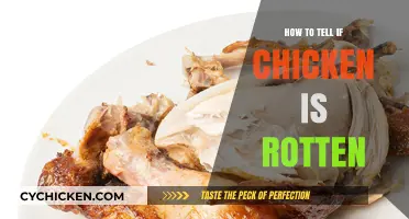 How to Tell if Chicken is Rotten: Key Signs to Check