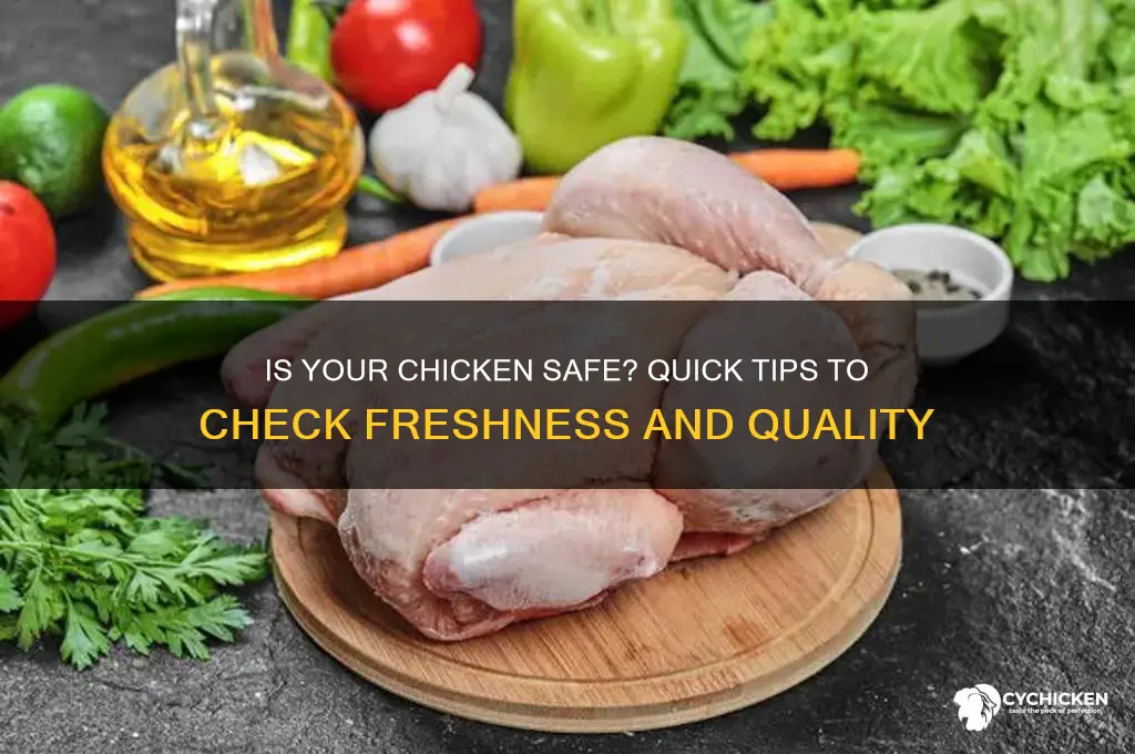 how to tell if chicken is safe