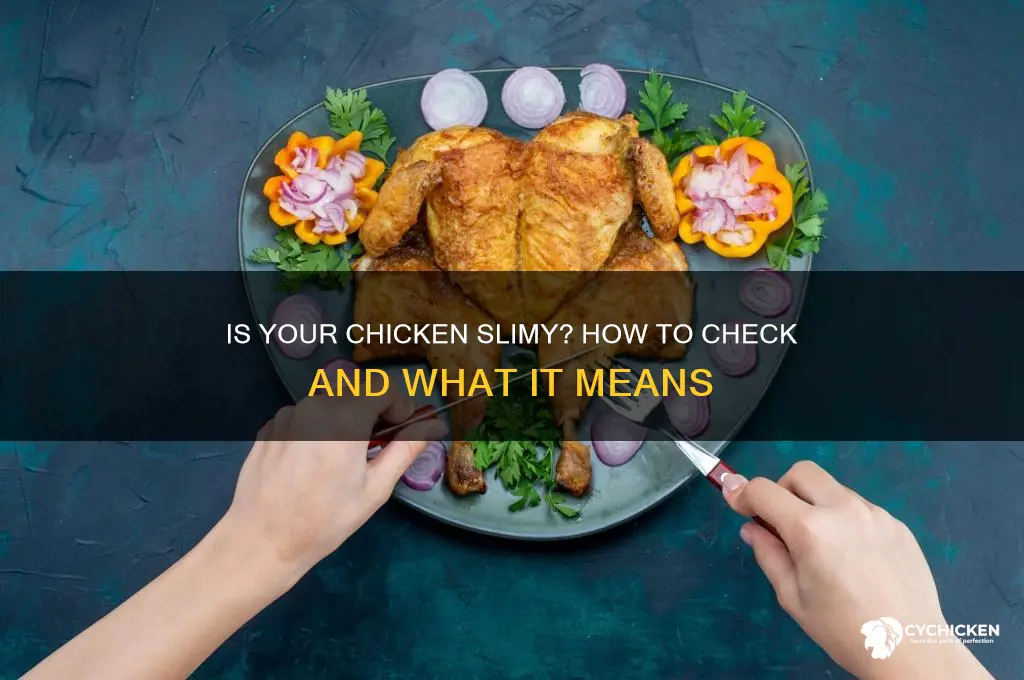 how to tell if chicken is slimy