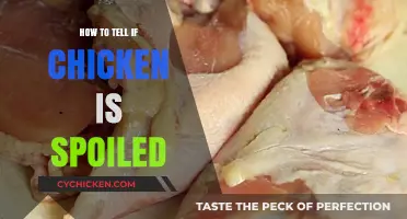 How to Spot Spoiled Chicken: Signs and Safety Tips
