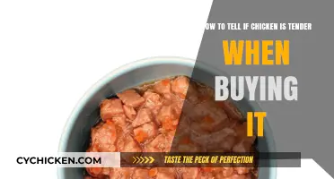 Choosing Tender Chicken: Simple Tips for Perfectly Soft Meat Every Time