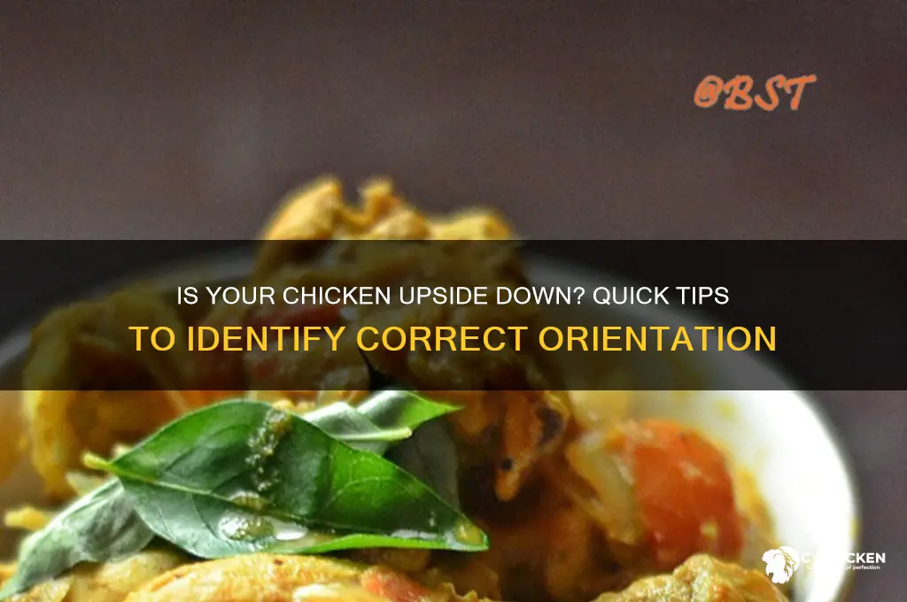how to tell if chicken is upside down