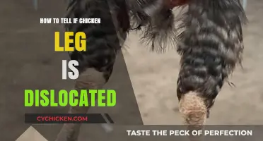 Identifying a Dislocated Chicken Leg: Signs and Symptoms to Watch For