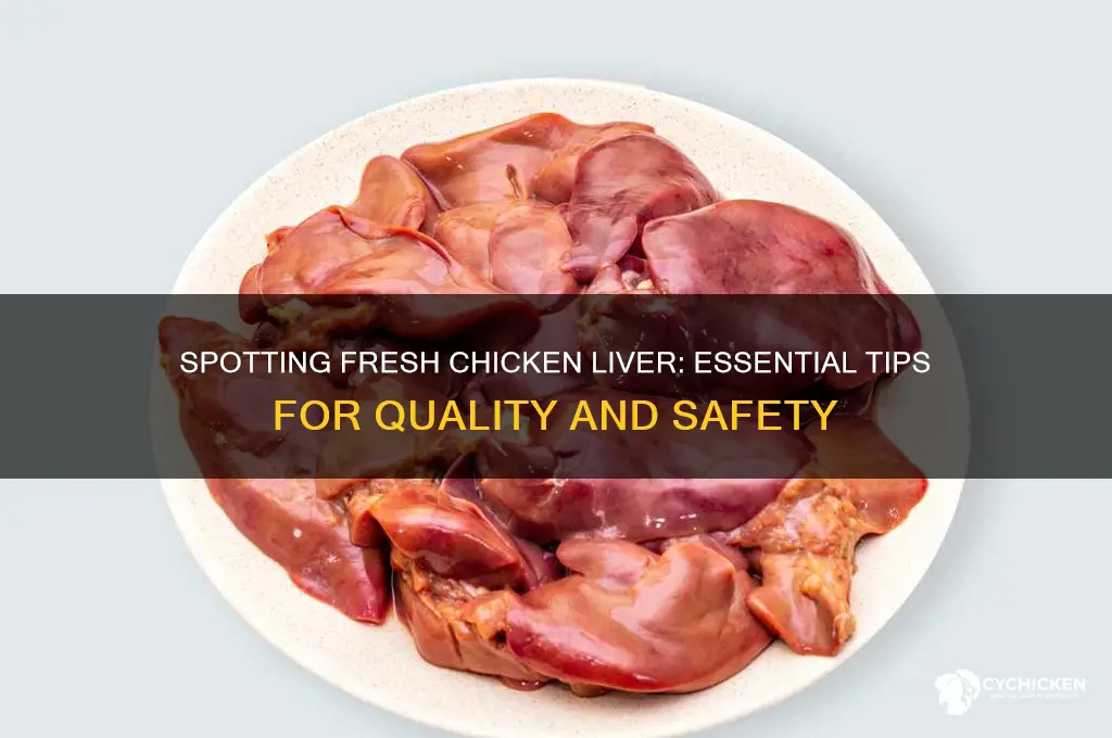 how to tell if chicken liver is fresh