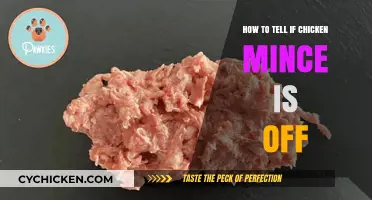 Is Your Chicken Mince Spoiled? Signs to Watch For