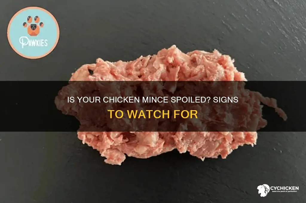 how to tell if chicken mince is off