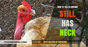 Identifying Chicken Necks: A Guide to Spotting Remaining Parts