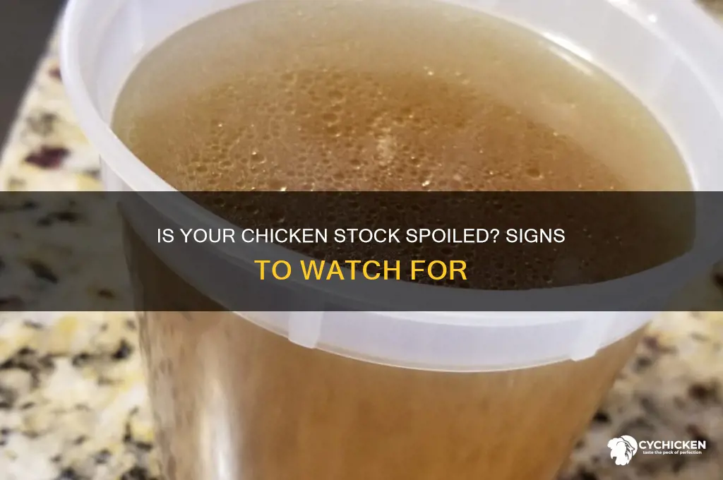 how to tell if chicken stock is off