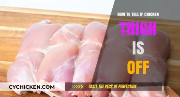 How to Spot Spoiled Chicken Thighs: Quick Tips for Freshness