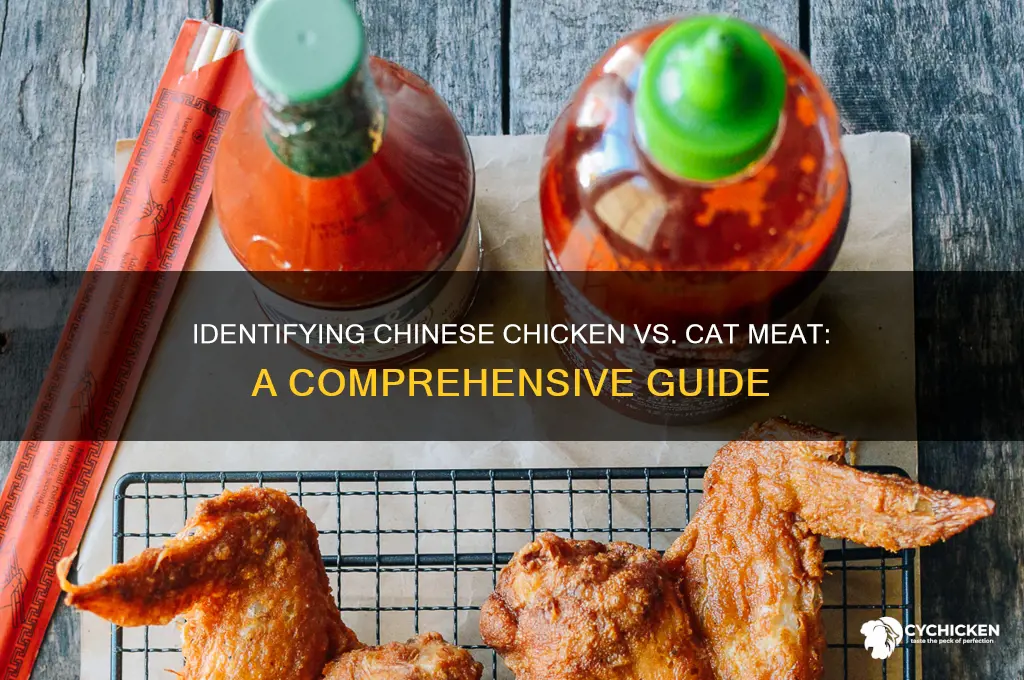 how to tell if chinese chicken is cat