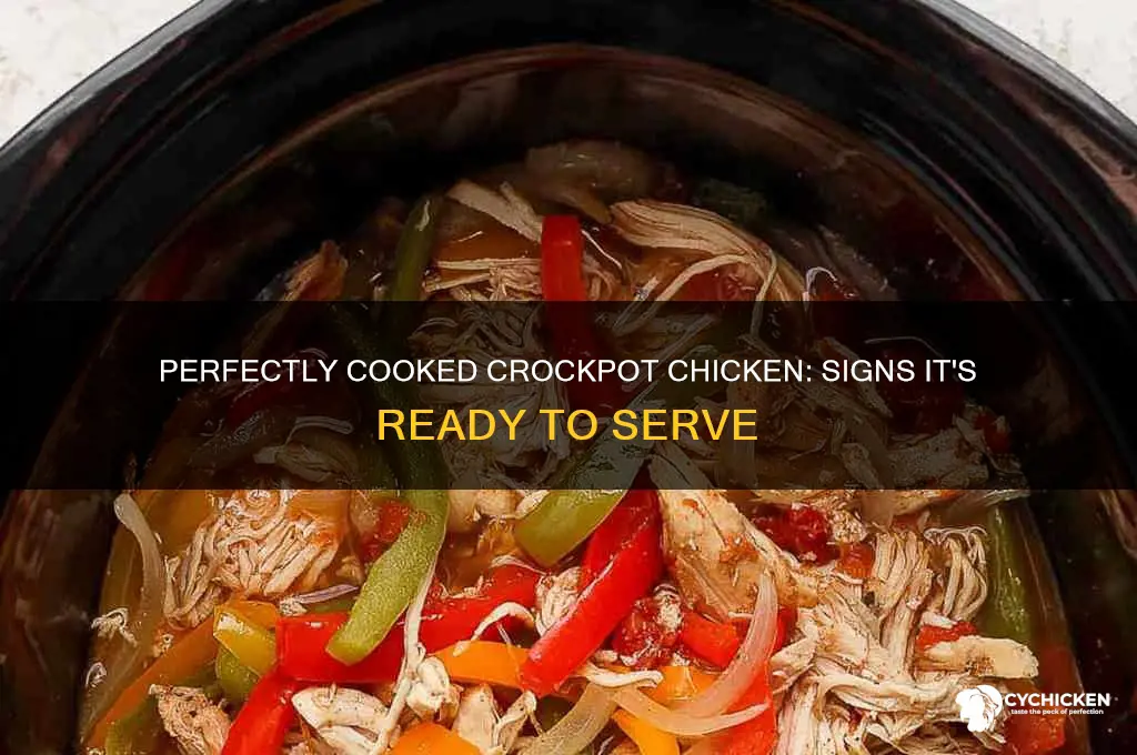 how to tell if crockpot chicken is done