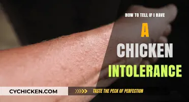 Signs and Symptoms of Chicken Intolerance You Should Know