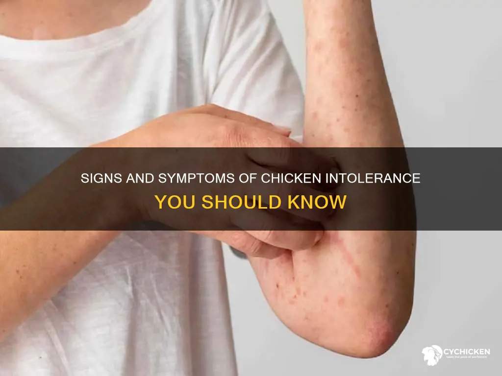 how to tell if i have a chicken intolerance