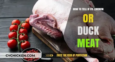 Duck or Chicken: How to Tell the Difference?
