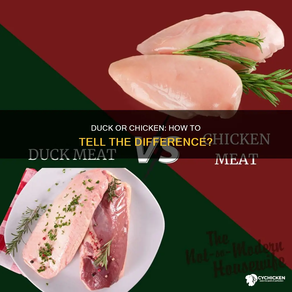 how to tell if its chicken or duck meat