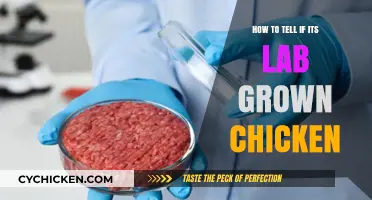 Identifying Lab-Grown Chicken: Key Signs and Verification Methods