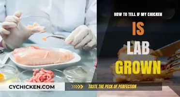 Lab-Grown Chicken: What's the Difference?
