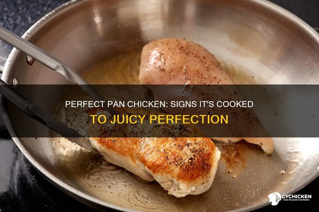 how to tell if pan chicken is done