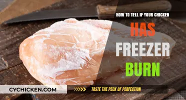 Detecting Freezer Burn on Chicken: What to Look For