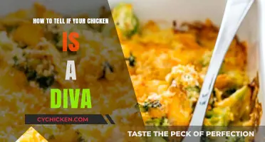 Chicken Divas: How to Spot the Drama Queens