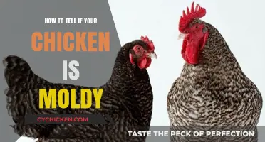 Spotting Moldy Chicken: Essential Tips to Ensure Food Safety