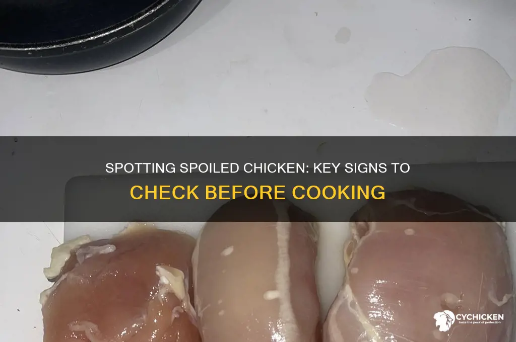 how to tell if youre coooking spoiled chicken