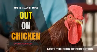 Identifying a Dislocated Chicken Joint: A Simple Guide for Poultry Owners