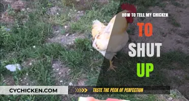 Quieting Your Clucky Companion: Tips to Hush Your Noisy Chicken