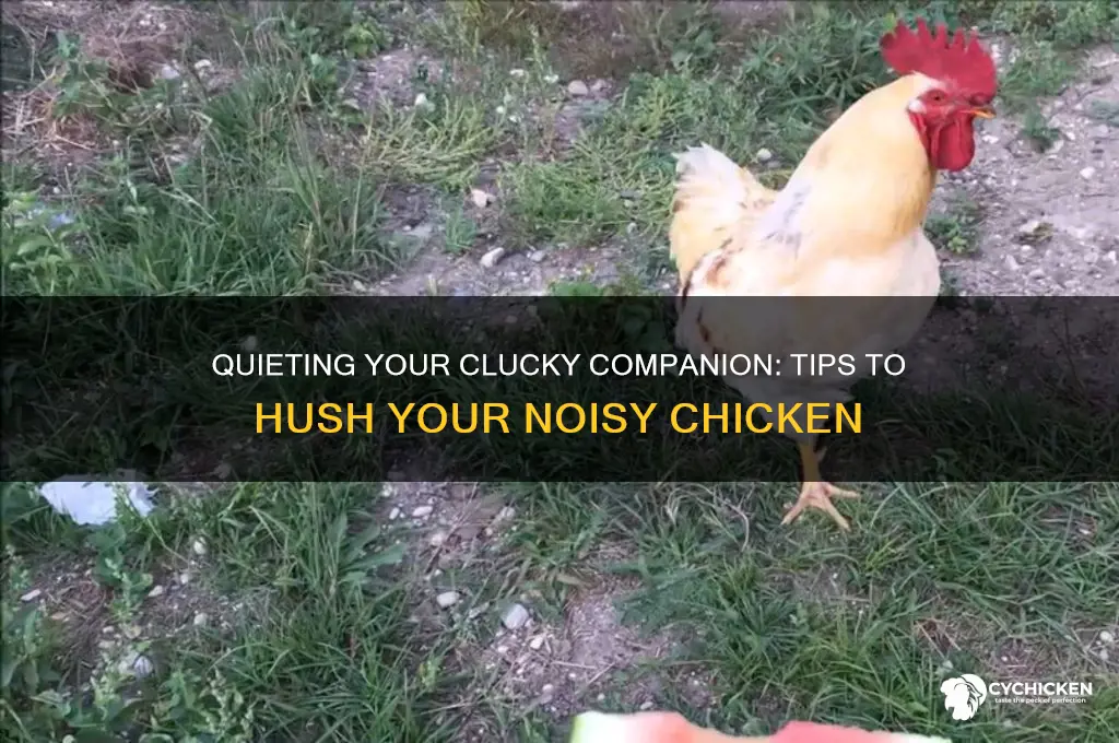 how to tell my chicken to shut up