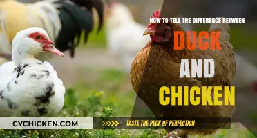 Duck or Chicken: How to Tell the Difference
