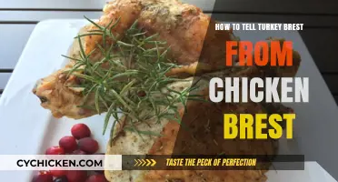 Turkey or Chicken? How to Identify Breast Meat Easily
