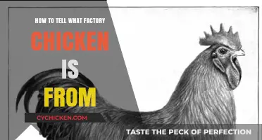 Identifying Factory Chicken Origins: A Comprehensive Guide for Consumers