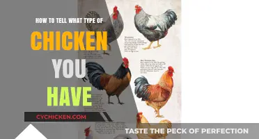Identify Your Chicken: A Guide to Chicken Types