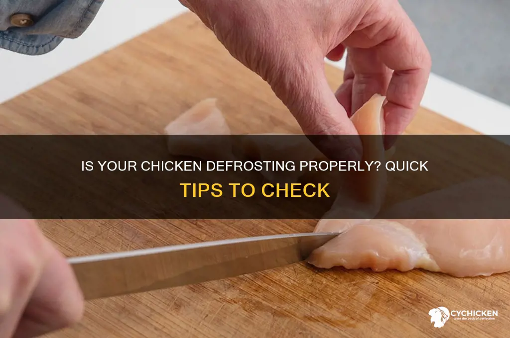 how to tell when chick is dknt defrosting