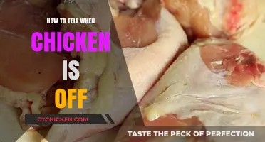 How to Tell When Chicken is Off: Key Signs to Check
