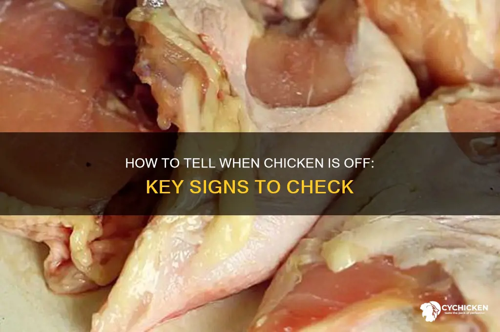 how to tell when chicken is off